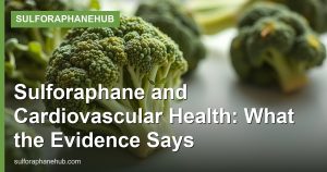 Sulforaphane and Cardiovascular Health: What the Evidence Says