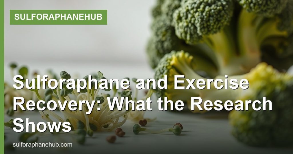Sulforaphane and Exercise Recovery: What the Research Shows - SulforaphaneHub
