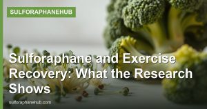 Sulforaphane and Exercise Recovery: What the Research Shows
