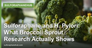 Sulforaphane and H. Pylori: What Broccoli Sprout Research Actually Shows