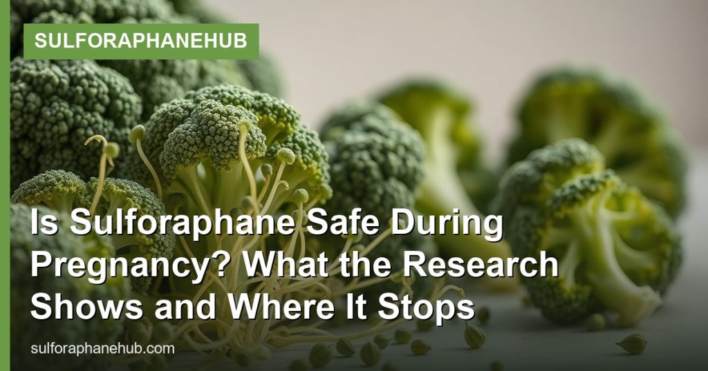 Is Sulforaphane Safe During Pregnancy? What the Research Shows and Where It Stops - SulforaphaneHub